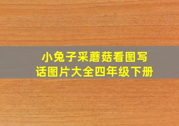 小兔子采蘑菇看图写话图片大全四年级下册