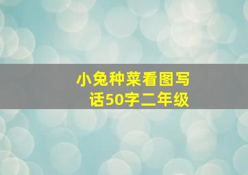 小兔种菜看图写话50字二年级