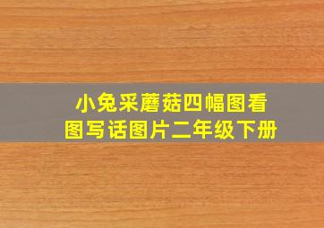 小兔采蘑菇四幅图看图写话图片二年级下册