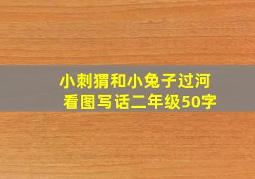 小刺猬和小兔子过河看图写话二年级50字