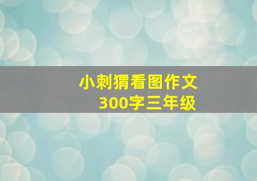 小刺猬看图作文300字三年级