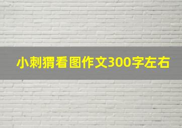 小刺猬看图作文300字左右