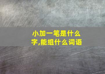 小加一笔是什么字,能组什么词语