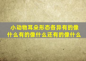 小动物耳朵形态各异有的像什么有的像什么还有的像什么