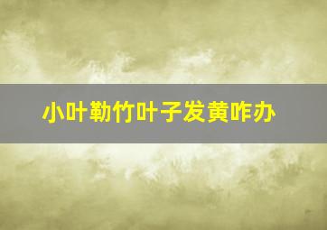 小叶勒竹叶子发黄咋办