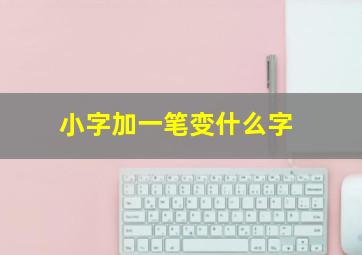 小字加一笔变什么字