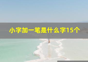 小字加一笔是什么字15个