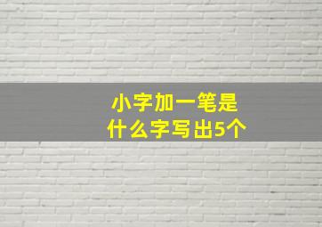 小字加一笔是什么字写出5个