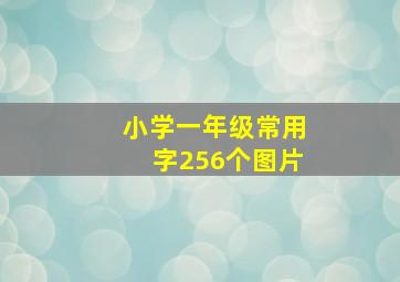 小学一年级常用字256个图片