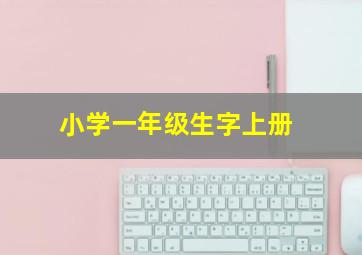 小学一年级生字上册