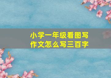 小学一年级看图写作文怎么写三百字