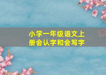 小学一年级语文上册会认字和会写字