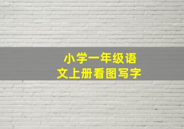 小学一年级语文上册看图写字