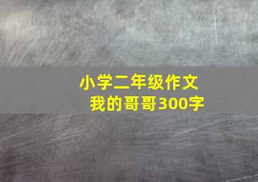 小学二年级作文我的哥哥300字