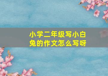 小学二年级写小白兔的作文怎么写呀