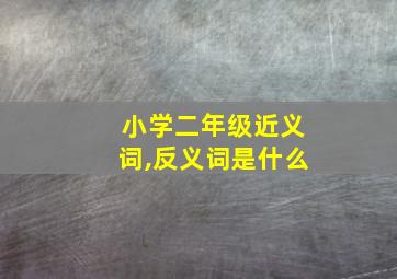 小学二年级近义词,反义词是什么