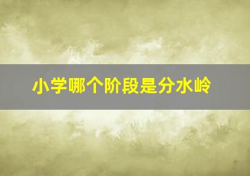 小学哪个阶段是分水岭