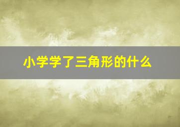 小学学了三角形的什么