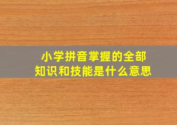 小学拼音掌握的全部知识和技能是什么意思