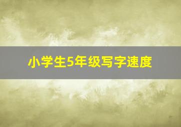 小学生5年级写字速度