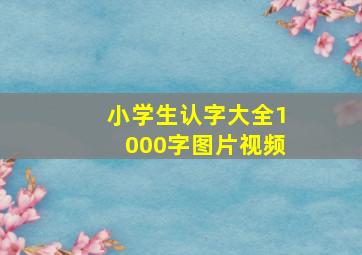 小学生认字大全1000字图片视频