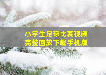 小学生足球比赛视频完整回放下载手机版