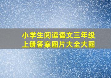 小学生阅读语文三年级上册答案图片大全大图