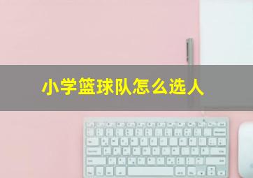 小学篮球队怎么选人