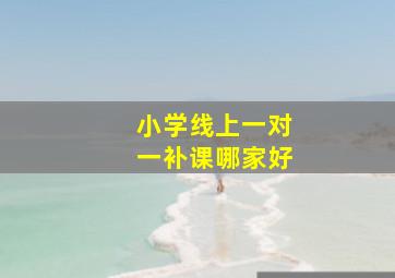 小学线上一对一补课哪家好