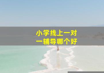 小学线上一对一辅导哪个好