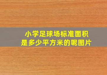 小学足球场标准面积是多少平方米的呢图片