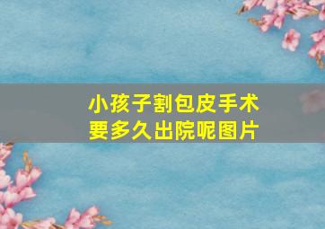 小孩子割包皮手术要多久出院呢图片