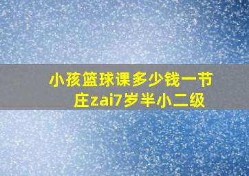 小孩篮球课多少钱一节庄zai7岁半小二级