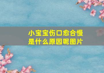 小宝宝伤口愈合慢是什么原因呢图片