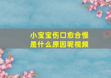 小宝宝伤口愈合慢是什么原因呢视频