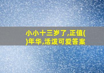 小小十三岁了,正值()年华,活泼可爱答案