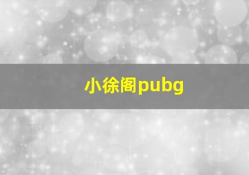 小徐阁pubg