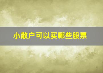 小散户可以买哪些股票