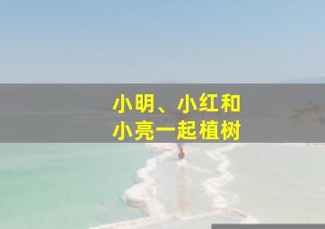 小明、小红和小亮一起植树