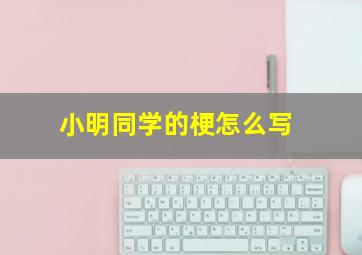 小明同学的梗怎么写