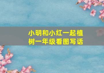 小明和小红一起植树一年级看图写话