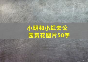 小明和小红去公园赏花图片50字