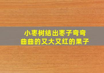 小枣树结出枣子弯弯曲曲的又大又红的果子