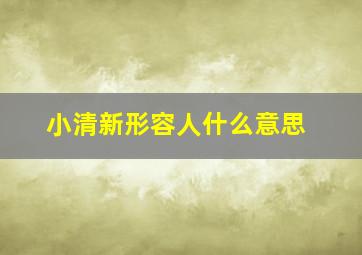 小清新形容人什么意思