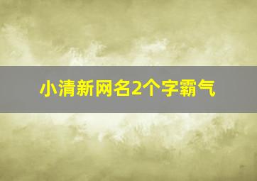 小清新网名2个字霸气