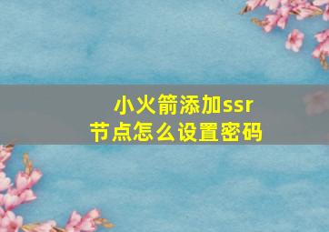 小火箭添加ssr节点怎么设置密码