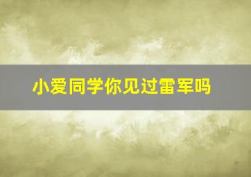 小爱同学你见过雷军吗