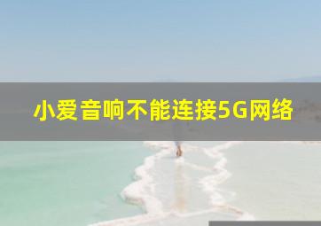 小爱音响不能连接5G网络