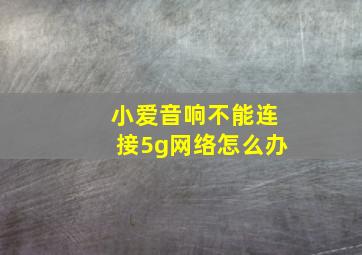 小爱音响不能连接5g网络怎么办