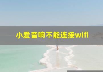 小爱音响不能连接wifi